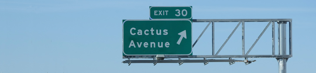 I Viaggi Del Cactus