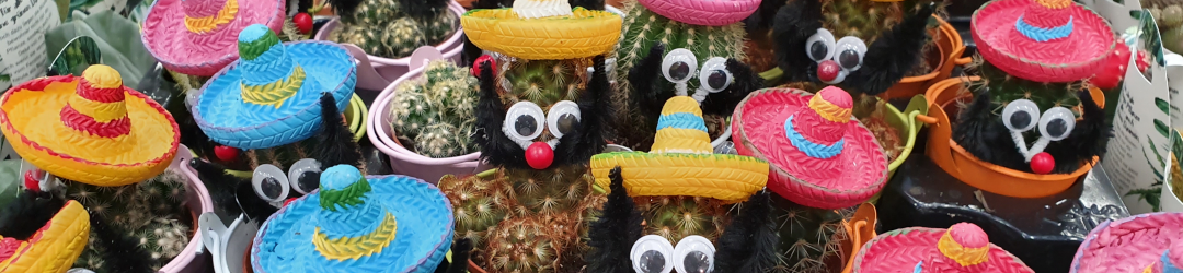 I Viaggi Del Cactus