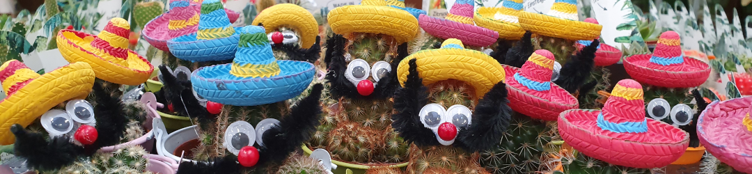 I Viaggi Del Cactus