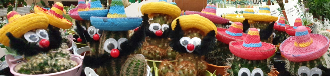 I Viaggi Del Cactus